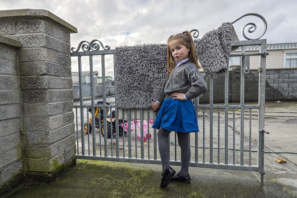 Brittany, Limerick, Ireland 2019