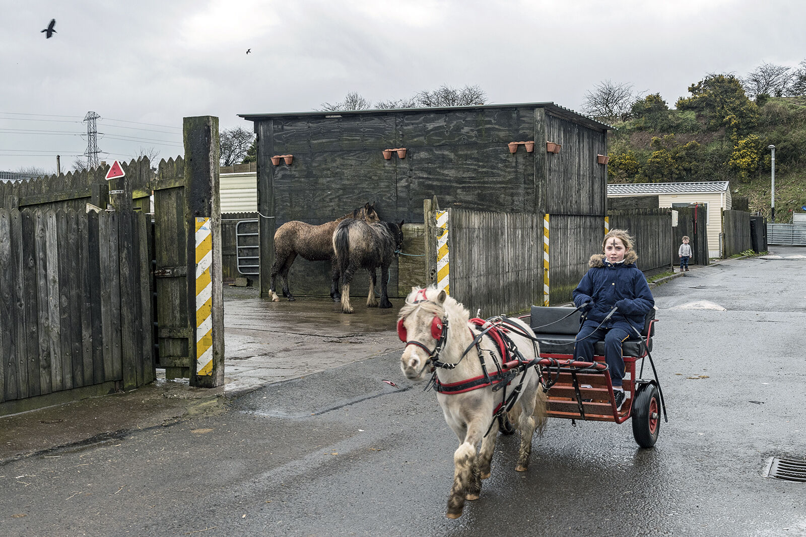 Caroline Rides The Sulky, Ash Wednesday, Cork, Ireland 2020