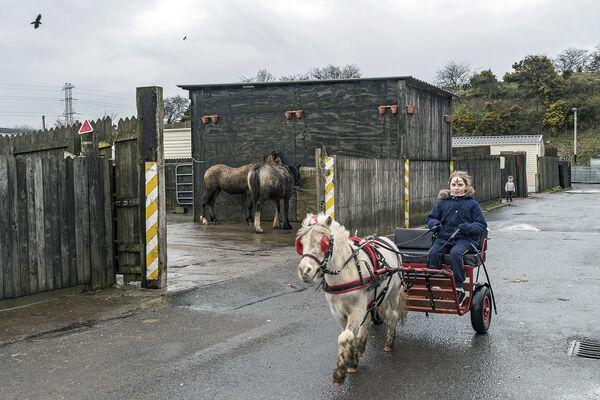 Caroline Rides The Sulky, Ash Wednesday, Cork, Ireland 2020