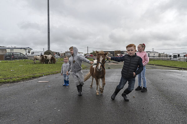 Kids with Pony, Galway, Ireland 2019