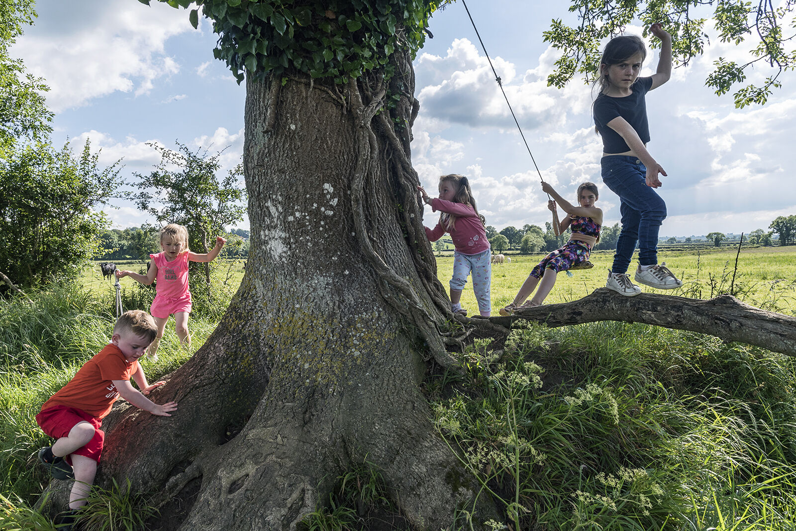 Caseys Children around Big Old Tree, Limerick, Ireland 2019