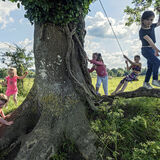 Caseys Children around Big Old Tree, Limerick, Ireland 2019
