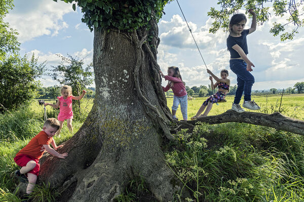Caseys Children around Big Old Tree, Limerick, Ireland 2019