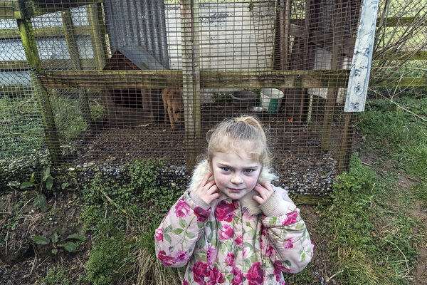 Chantelle, Tipperary, Ireland 2020