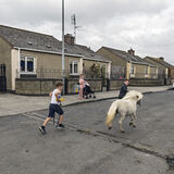 Children and Pony, Dublin 2019