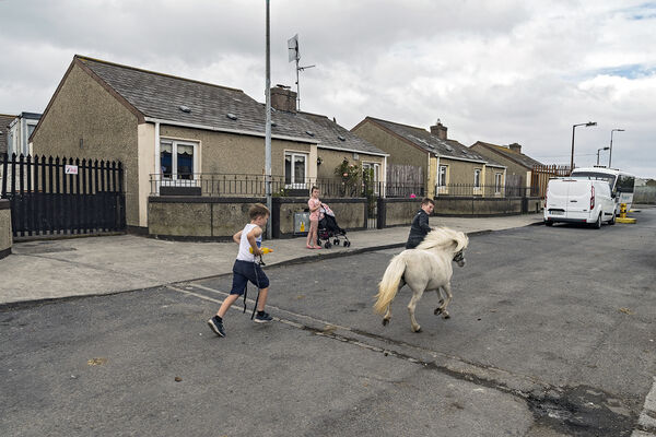 Children and Pony, Dublin 2019