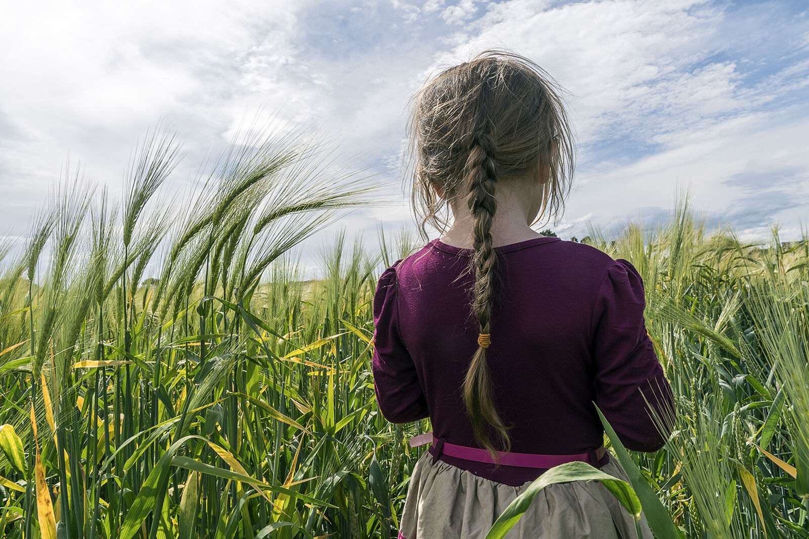 Diane in The Wheat Field, Tipperary, Ireland 2019