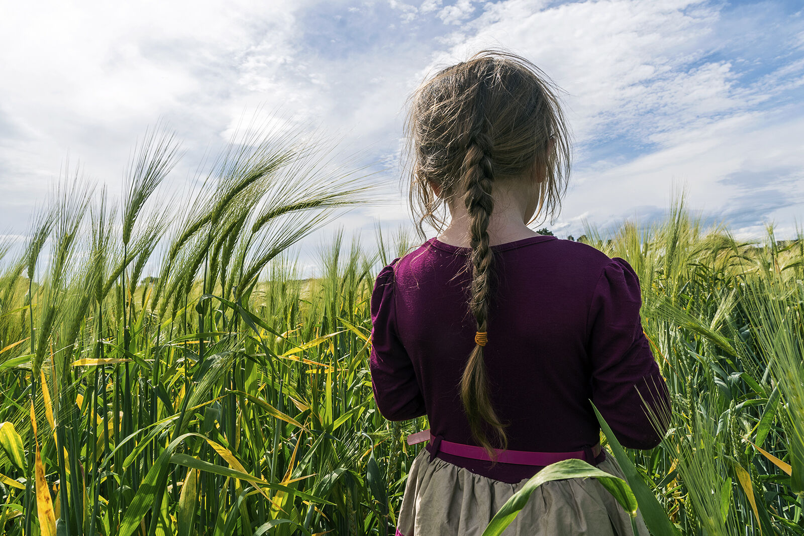 Diane in The Wheat Field, Tipperary, Ireland 2019