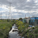 Field next to Labre Park, Dublin, Ireland 2021