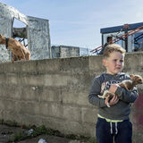 Fono with A Puppy, Limerick, Ireland 2018