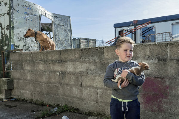 Fono with A Puppy, Limerick, Ireland 2018