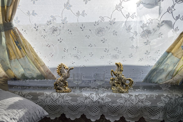 Gold Gypsy Horses, roadside campsite, Tipperary, Ireland 2019