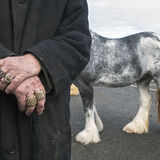 Gold Rings and Horse, Galway, Ireland 2022