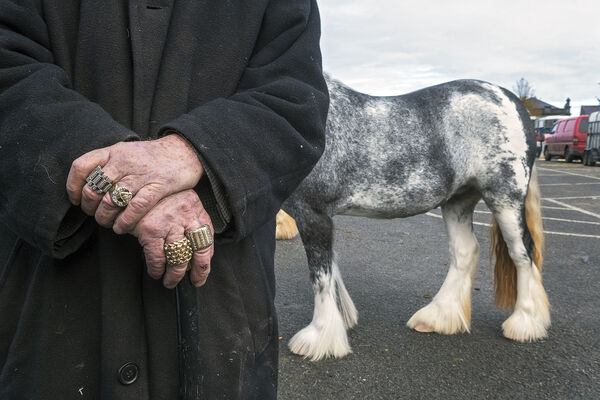 Gold Rings and Horse, Galway, Ireland 2022