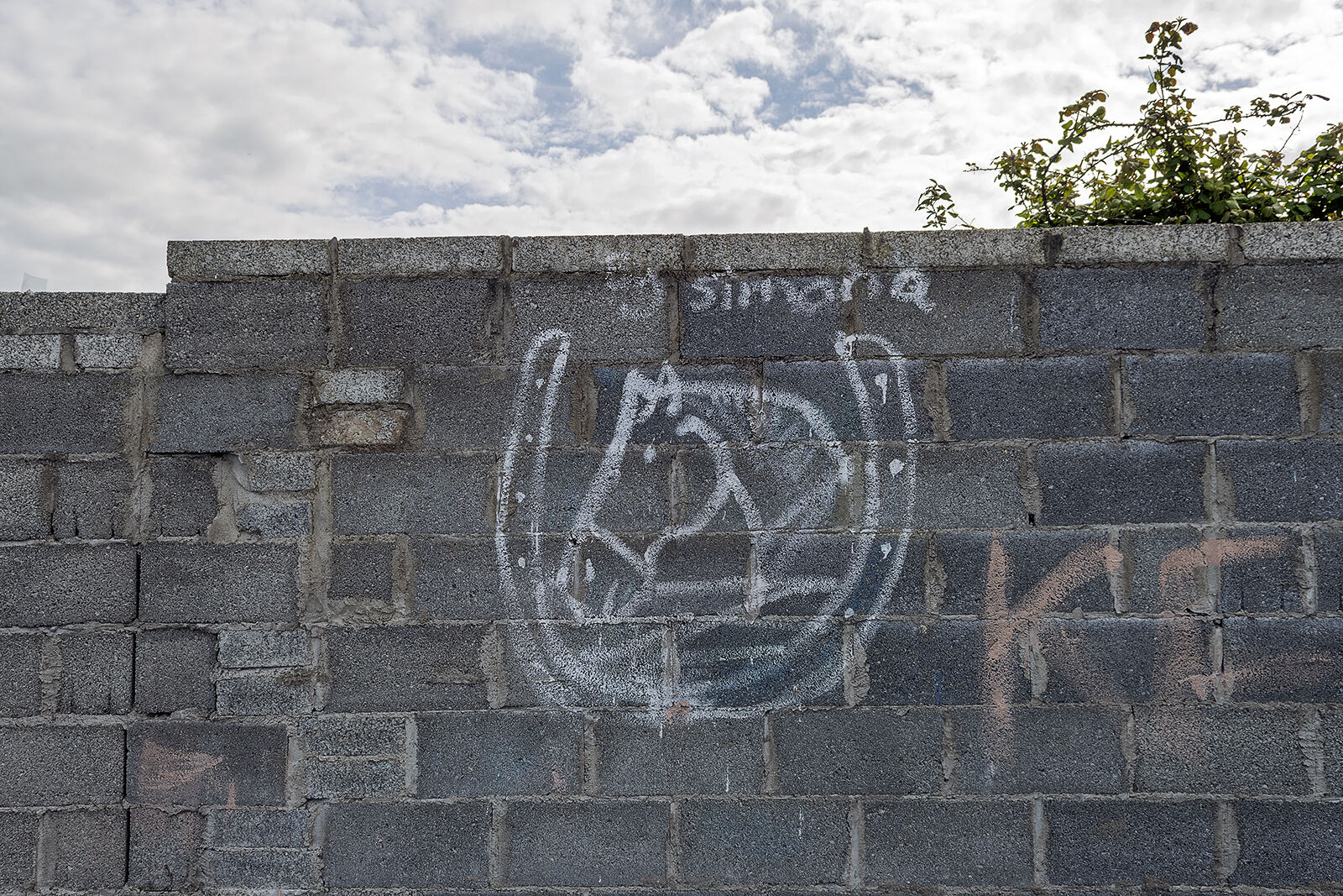 Graffiti, Limerick, Ireland 2021