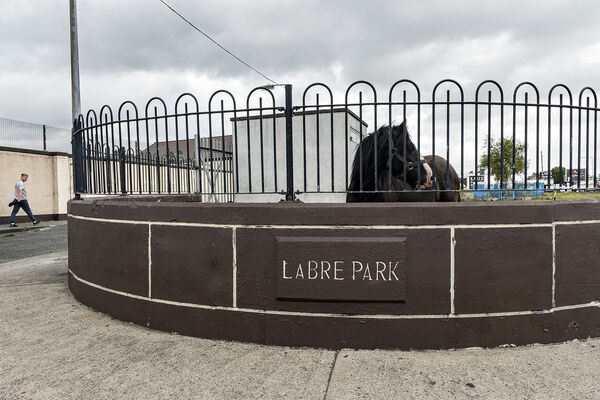 Labre Park, Dublin, Ireland 2019