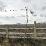 Laundry Line, Tipperary, Ireland 2021