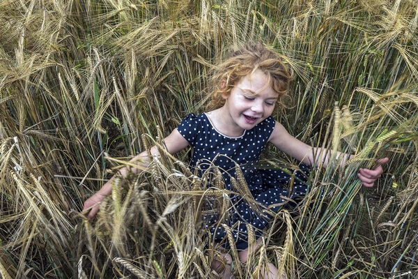 Maggie in Wheat Field, Tipperary, Ireland 2020