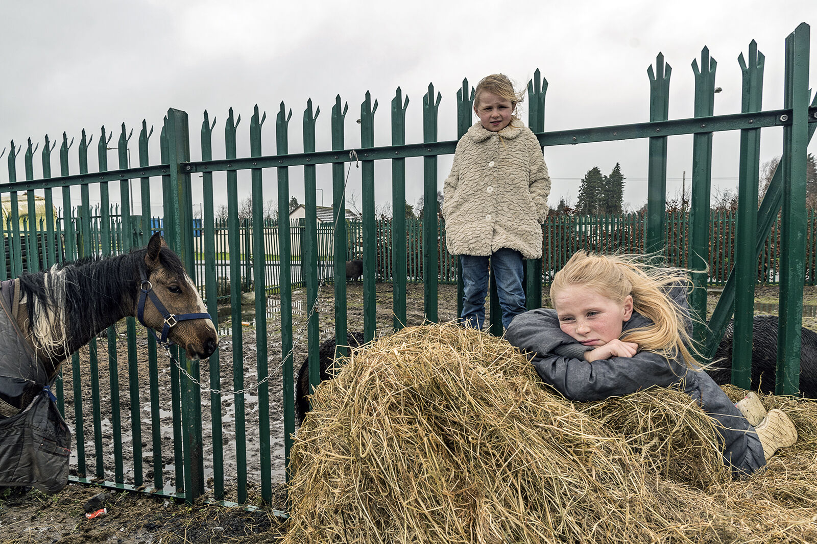Maggie and Judy on Haystack Tipperary, Ireland 2020