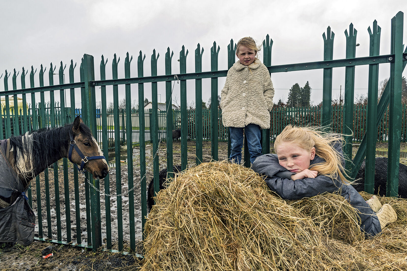 Maggie and Judy on Haystack Tipperary, Ireland 2020