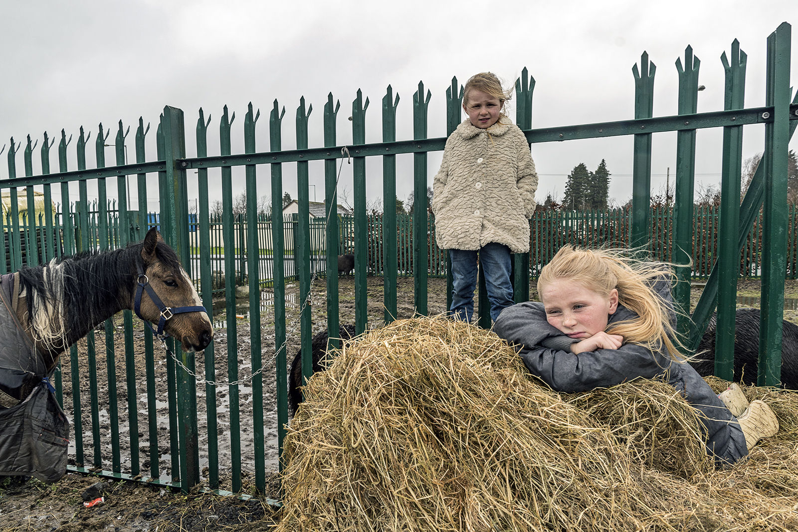 Maggie and Judy on Haystack Tipperary, Ireland 2020