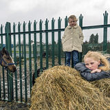 Maggie and Judy on Haystack Tipperary, Ireland 2020