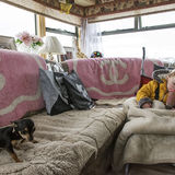 Maggie and her puppy, roadside campsite, Tipperary, Ireland 2018