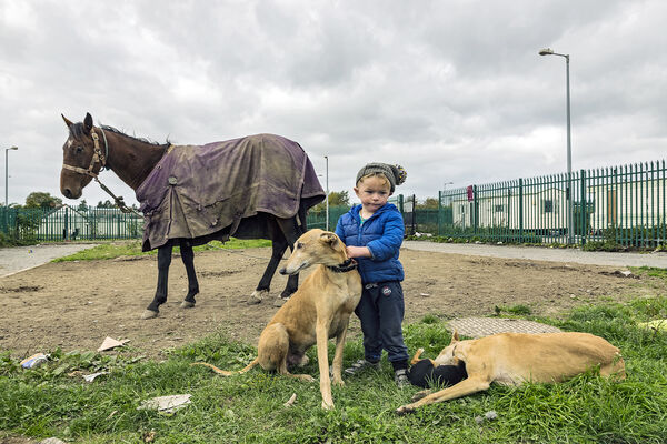 Michael with Dogs and Horse, Tipperary, Ireland 2018