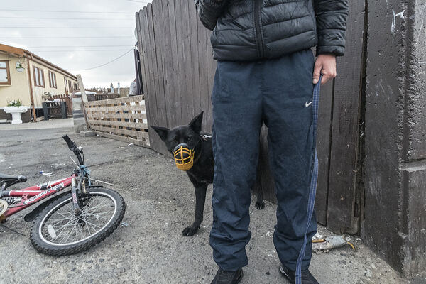 Muzzled, Dublin, Ireland 2019