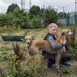 Ned with Lurcher, Tipperary, Ireland 2022
