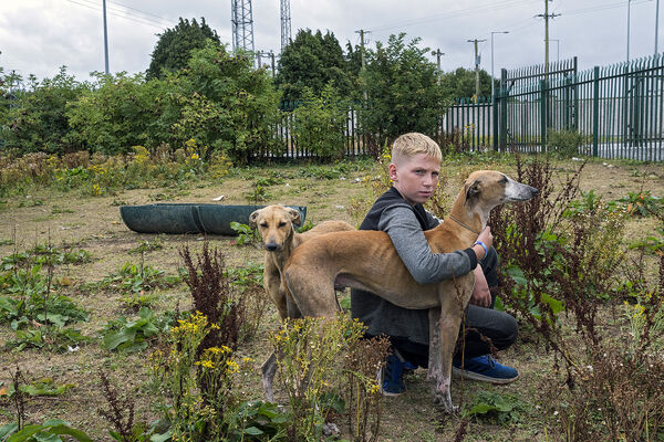 Ned with Lurcher, Tipperary, Ireland 2022