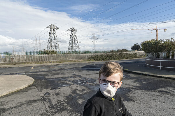 Ned during Coronavirus Outbreak, Dublin, Ireland 2020