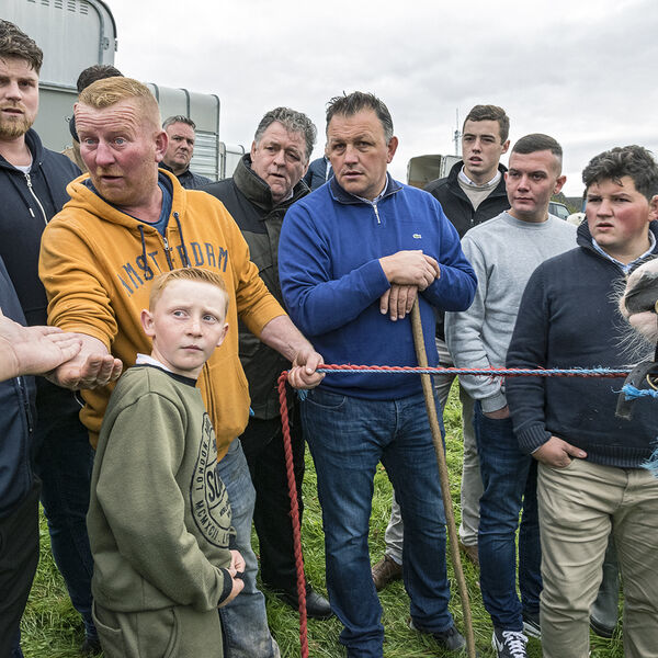 Negotiation, Ballinasloe Horse Fair, Galway, Ireland 2019