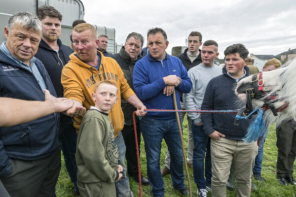 Negotiation, Ballinasloe Horse Fair, Galway, Ireland 2019