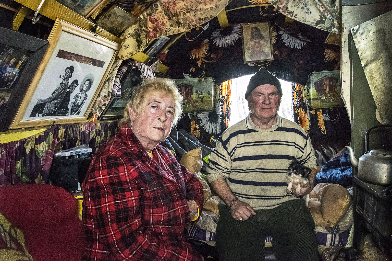 Nellie and Willie, roadside campsite, Tipperary, Ireland 2019