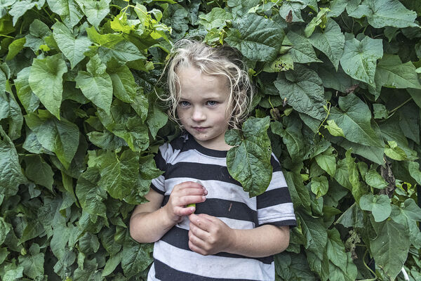 Nikita Holding Bindweed Flower, Tipperary, Ireland 2019
