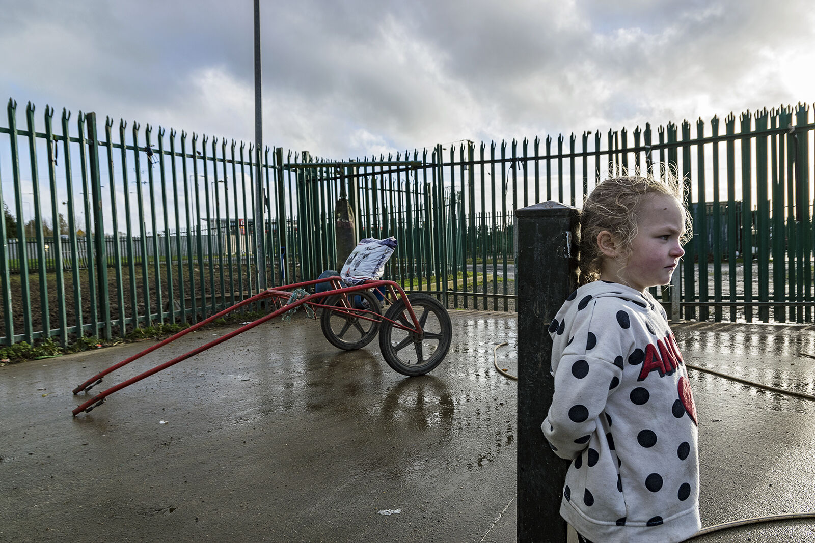Nikita, Tipperary, Ireland 2019
