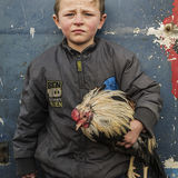 Pa with Rooster, roadside campsite, Tipperary, Ireland 2019