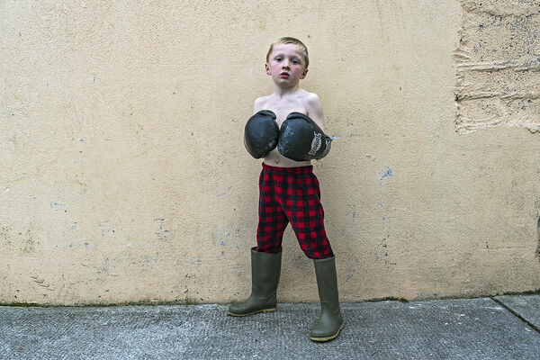 Paddy, Boxer, Galway, Ireland 2019