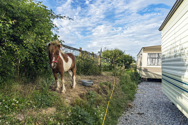 Pony and Caravans, Tipperary, Ireland 2020