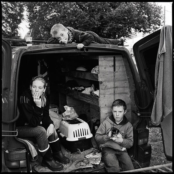 Puppy for Sale, Ballinasloe, Galway, Ireland 2011