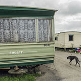 Caravans and Lurcher, Tipperary, Ireland 2018