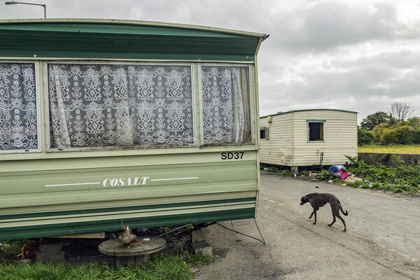 Caravans and Lurcher, Tipperary, Ireland 2018
