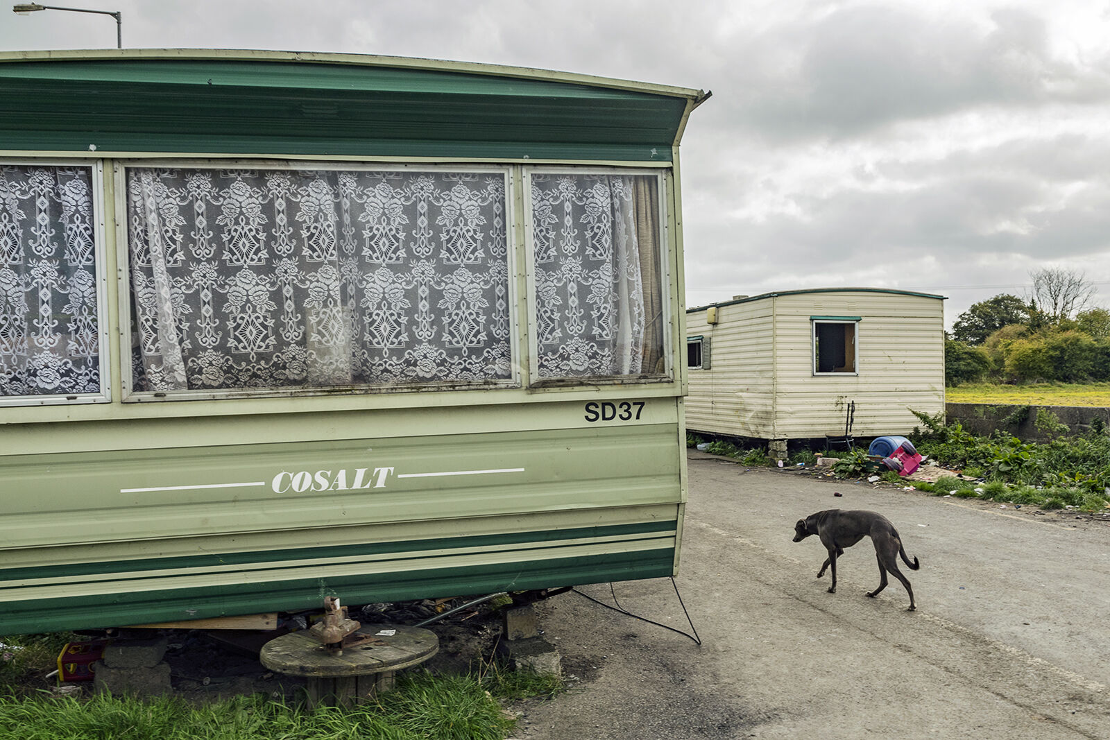 Caravans and Lurcher, Tipperary, Ireland 2018