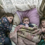 Naptime in Reilly's Caravan, roadside campsite, Tipperary, Ireland 2019
