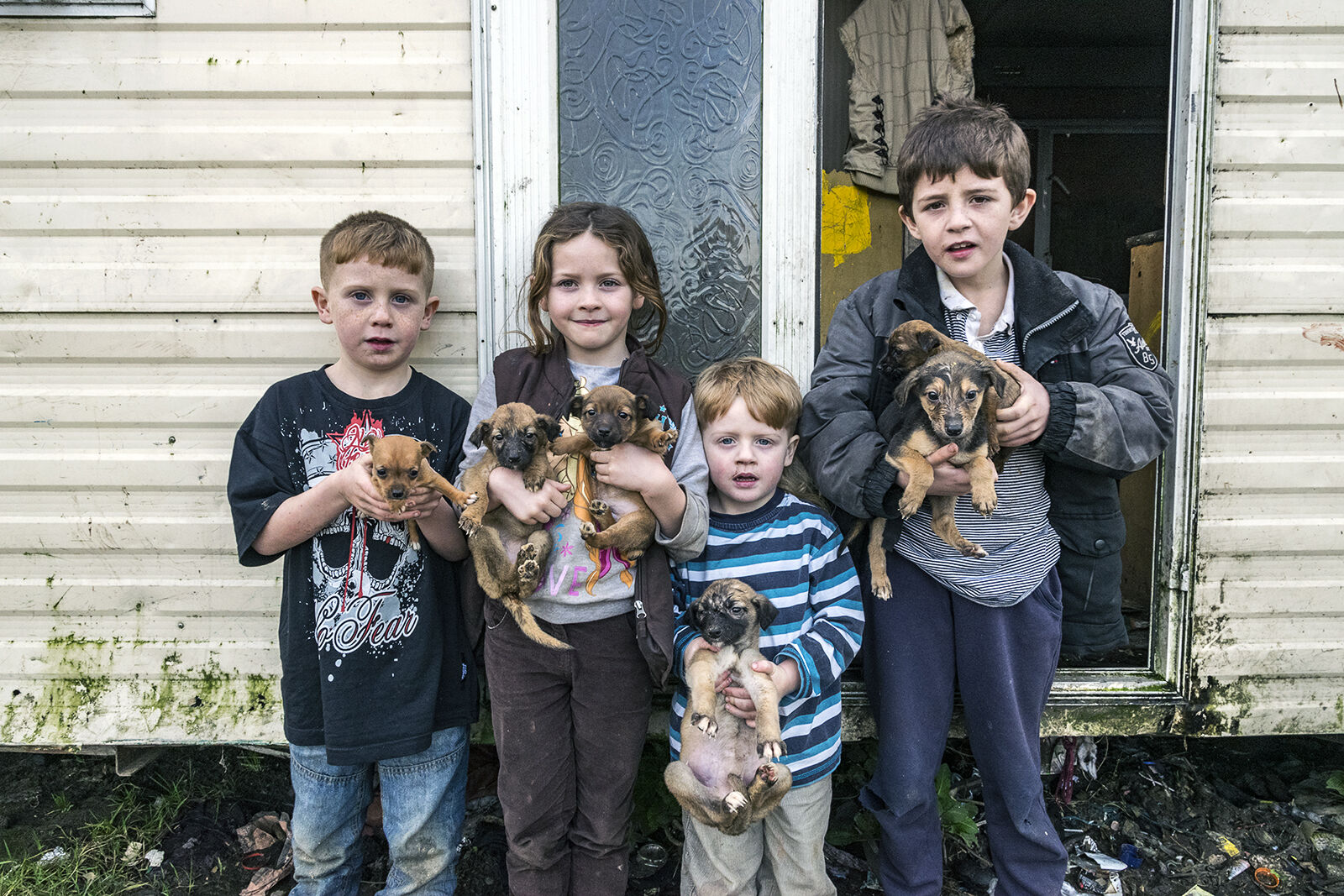 Reilly Siblings With Puppies, Tipperary, Ireland 2019