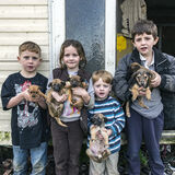 Reilly Siblings With Puppies, Tipperary, Ireland 2019