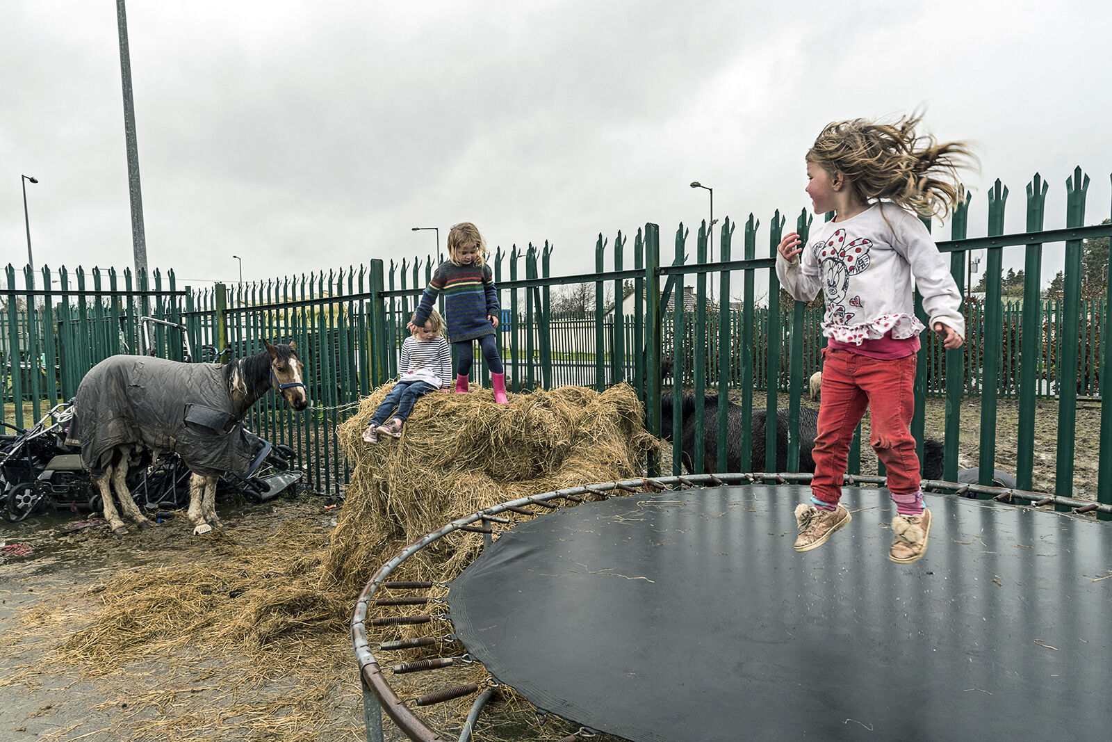 Reilly Sisters, Tipperary, Ireland 2020
