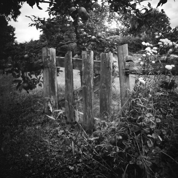 Rosie's Gate, Tipperary, Ireland 2017