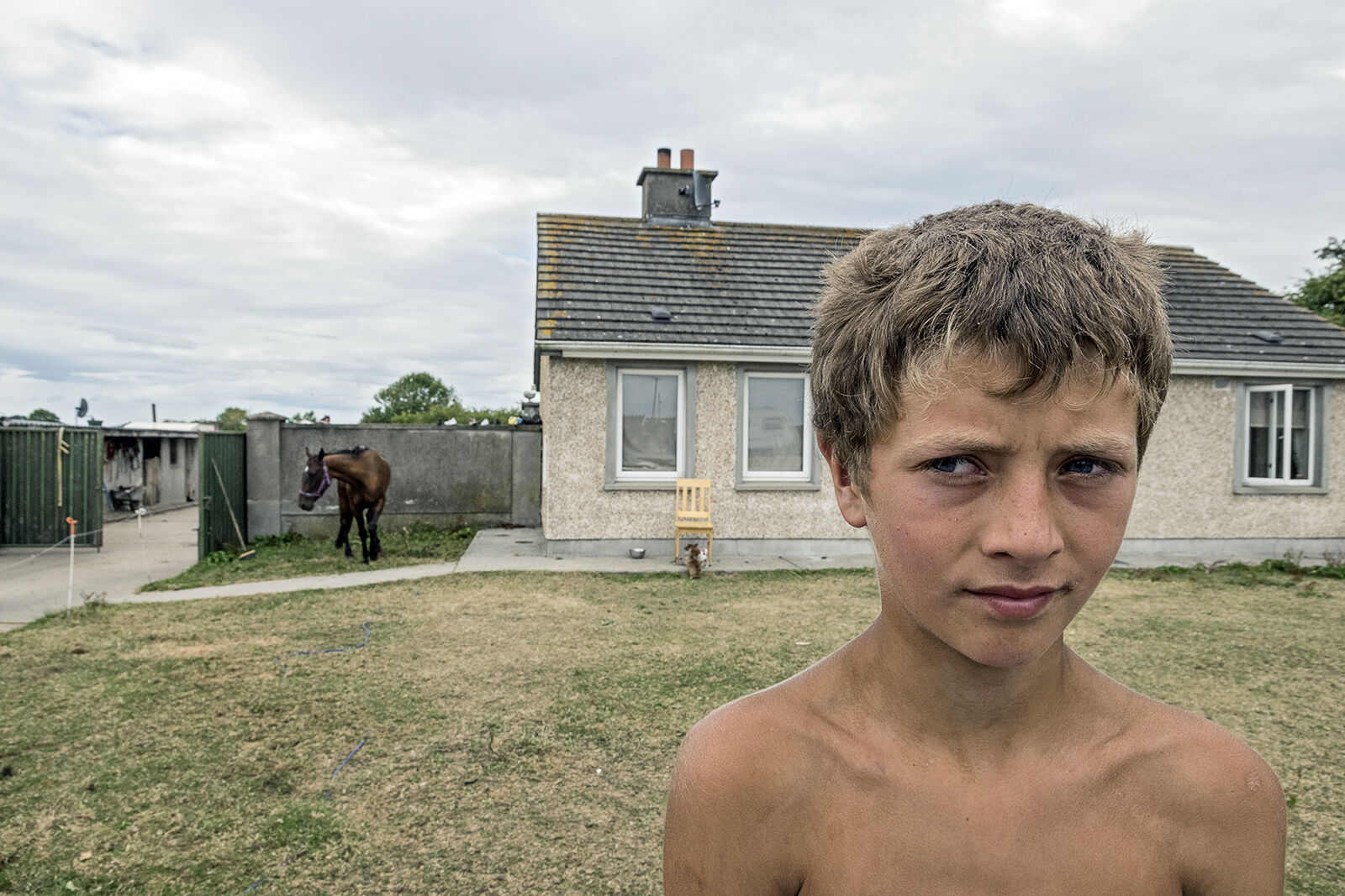 Tommy, roadside campsite, Tipperary, Ireland 2018